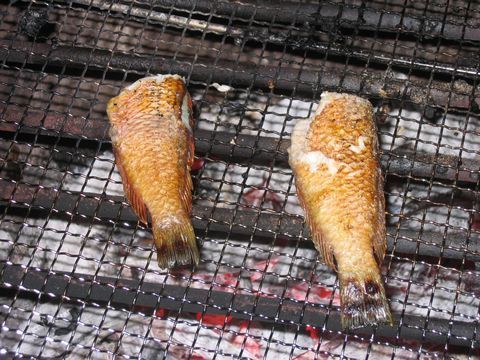 焼き魚.jpg